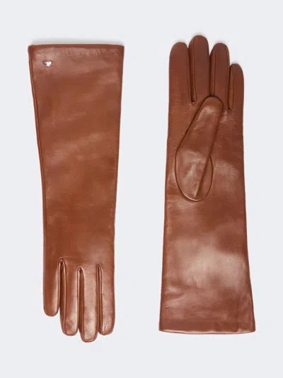 Max Mara Mid-length Nappa Leather Gloves In Tobacco