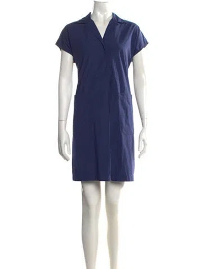 Pre-owned Max Mara Mini Dress In Blue