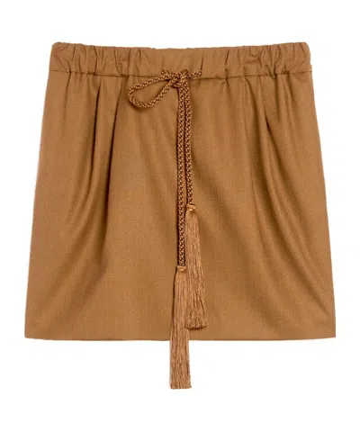 Max Mara Mini Skirt In Brown