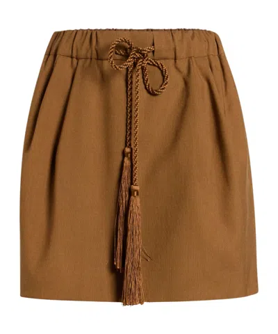 Max Mara Mini Skirts In Brown