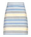 Max Mara Mini Skirts In Multi