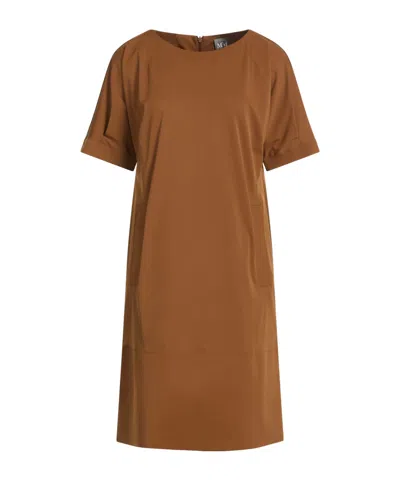 Max Mara Minimalist Dress In Brown