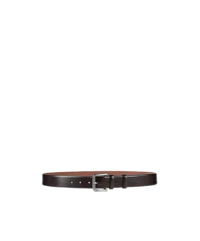 Max Mara Minimalist Leather Belt In Brown