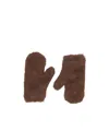 Max Mara Mittens In Brown
