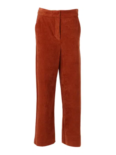 Max Mara Mm Pants In Brown