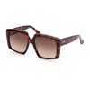 Max Mara Mm0024 52f Havana/brown Gradient In Brown