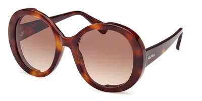 Max Mara Mm0074 Renee 52f Women's Sunglasses Tortoiseshell Size 54 In Brown