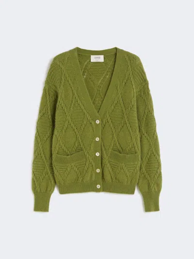 Max Mara Mohair Blend Cardigan In Green