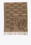Max Mara Monogram Cashmere Scarf In Brown