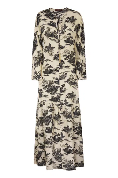 Max Mara Studio Msealga Printed Maxi Dress In Multi