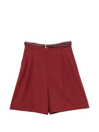 Max Mara Mstadorno Belted Pleated Tailored Shorts In Red