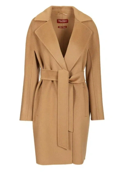 Max Mara Msttenore In Brown