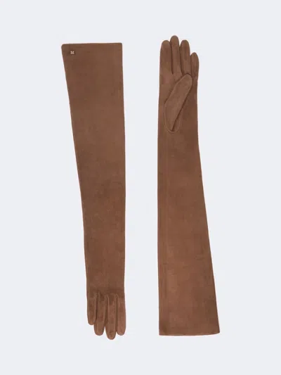 Max Mara Mxaazzurro Gloves Brown