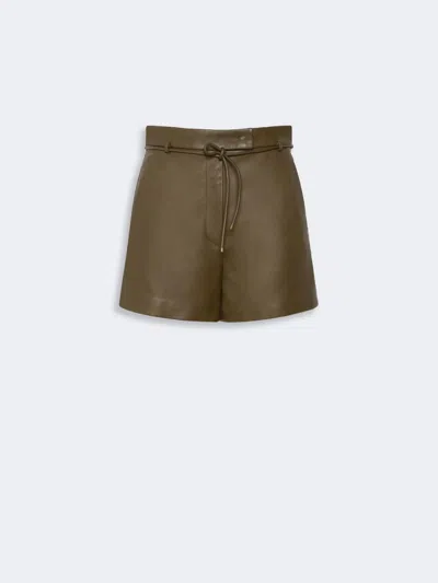 Max Mara Mxmamaca Trouser Khaki In Brown
