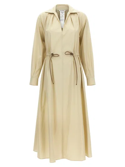 Max Mara Mxmpedaggi Dress Elasticated Waist Long Sleeves In Neutral