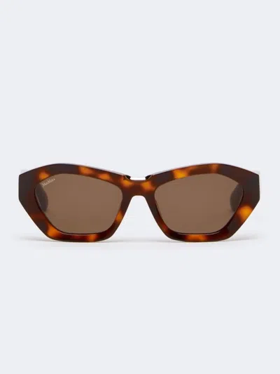 Max Mara Acetate Bold Sunglasses In Brown