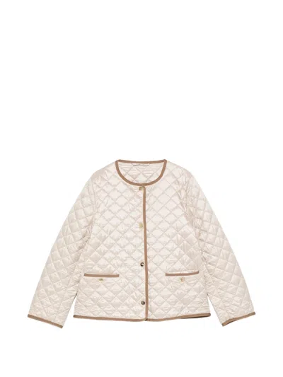 Max Mara Quilted Padded Jacket In Multi