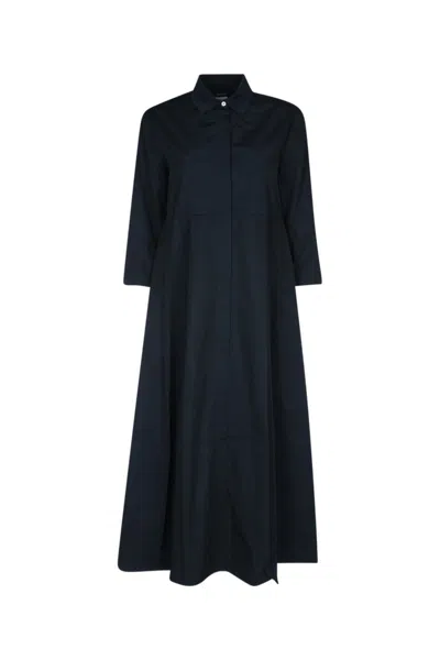 Max Mara Navy Blue Emilia Cotton Dress