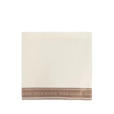 Max Mara Neutral Scarves & Gloves