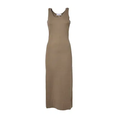 Max Mara Dresses In Brown
