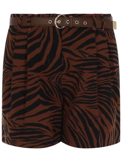 Max Mara Novella Straight-leg Shorts In Brown