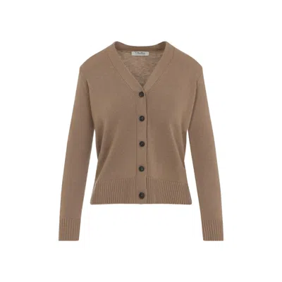 Max Mara Nude V-neck  Knitwear With Button-down Front In Brown