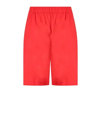 Max Mara Oliveto Coral Bermuda Shorts