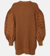 Max Mara Ottuso Ribbed-knit Virgin Wool Minidress In Brown