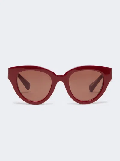 Max Mara Oversized Butterfly Sunglasses In Burgundy
