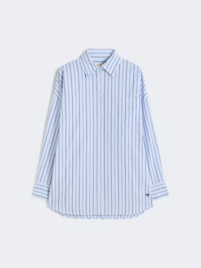 Max Mara Oversized Striped Cotton Shirt In Blue