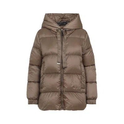 Max Mara Padded Down Jacket With Hood In Brown