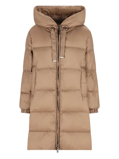 Max Mara Padded Hooded Coat In Brown