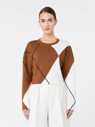 Max Mara Pagggio 100% Virgin Wool Sweater In Brown