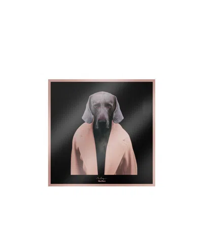 Max Mara Pattern Silk Scarf In Powder