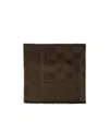 Max Mara Patterned Scarf In Transparent