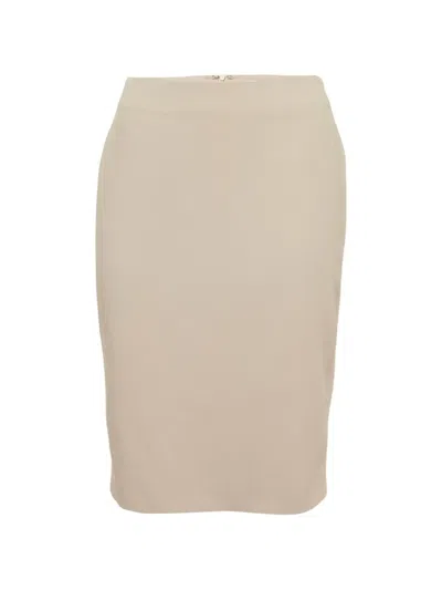 Pre-owned Max Mara Pencil Skirt In Neutral