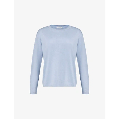 Max Mara Womens Light Blue Pensile Relaxed-fit Silk And Cotton-blend Top