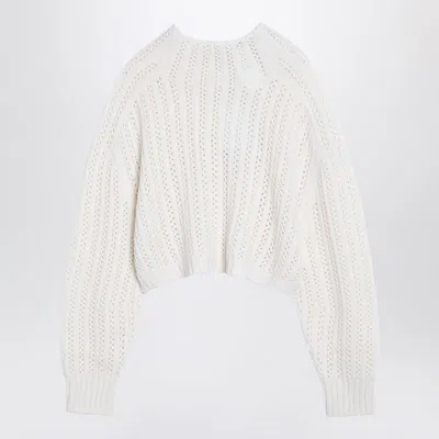 Max Mara Perforated And Sweater