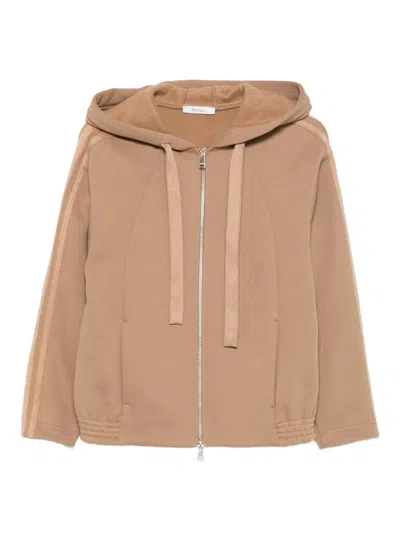 Max Mara Phenol  In Brown