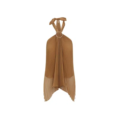 Max Mara Pianoforte Elegant Valzer Mini Top In Brown