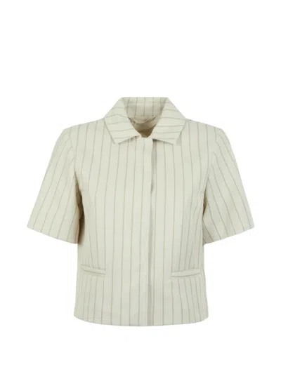 Max Mara Pinstriped Cropped Jacket In Neutral