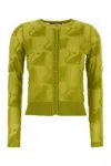 Max Mara Pistachio Green Nylon Blend Alvaro Cardigan In Green