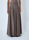Max Mara Pleated Flared Skirt In Gray