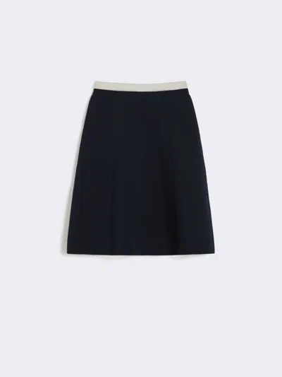 Max Mara Pleated Jersey Skirt In Blue