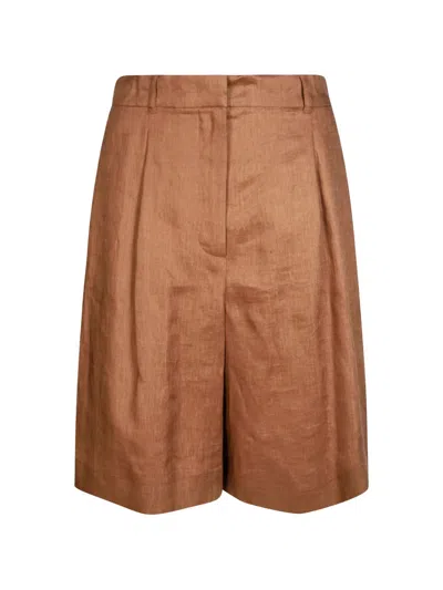 Max Mara Pleated Shorts In Brown
