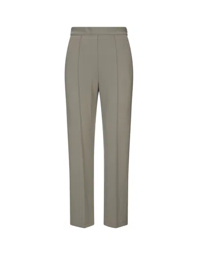 Max Mara Pleated Trousers In Gray