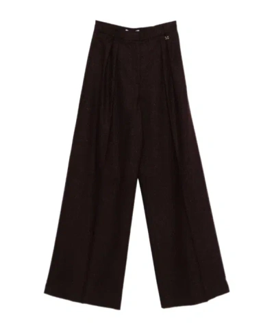 Max Mara Pleated Wide-leg Trousers In Brown