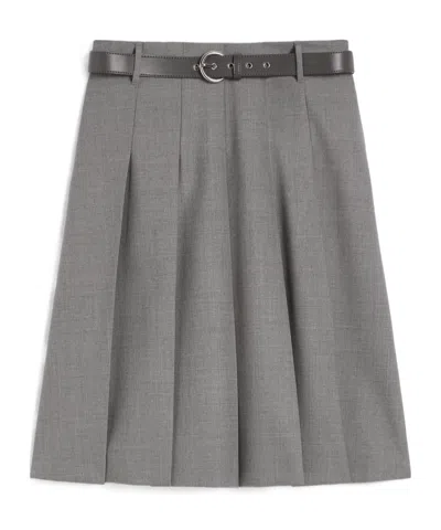 Max Mara Pleated Wool Skirt In Brown