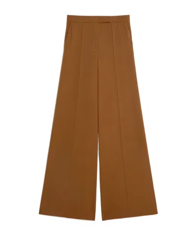 Max Mara Pleated Wool Trousers In Brown