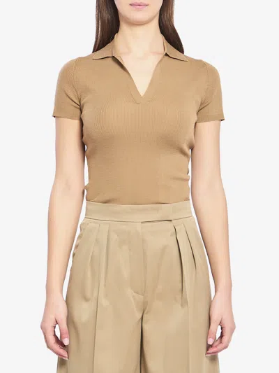 Max Mara Albero Polo In Brown